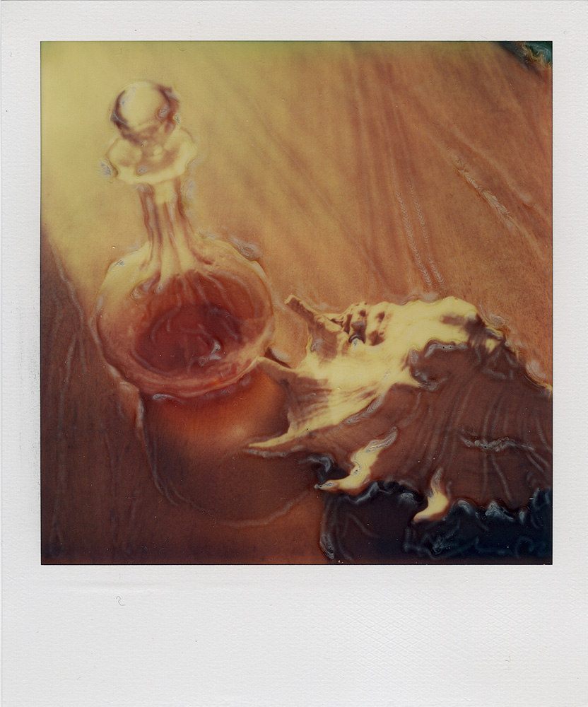 Алексей Белов. Портфолио. Polaroid Manipulation. Без названия