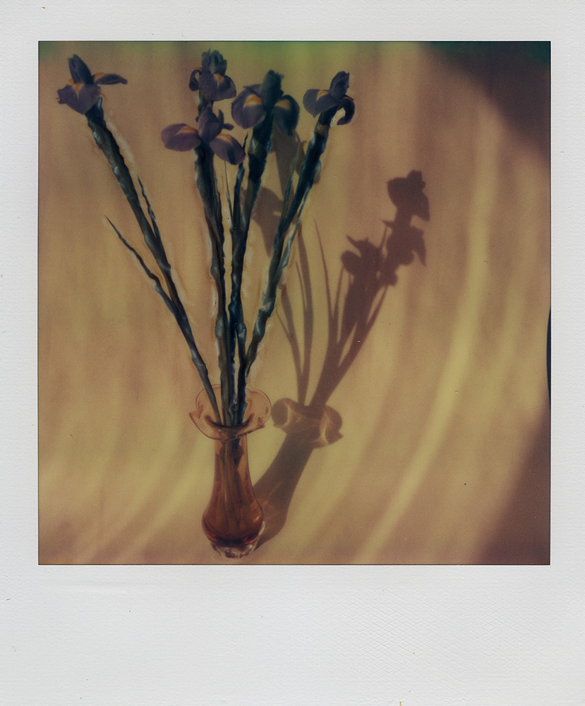 Алексей Белов. Портфолио. Polaroid Manipulation. Без названия