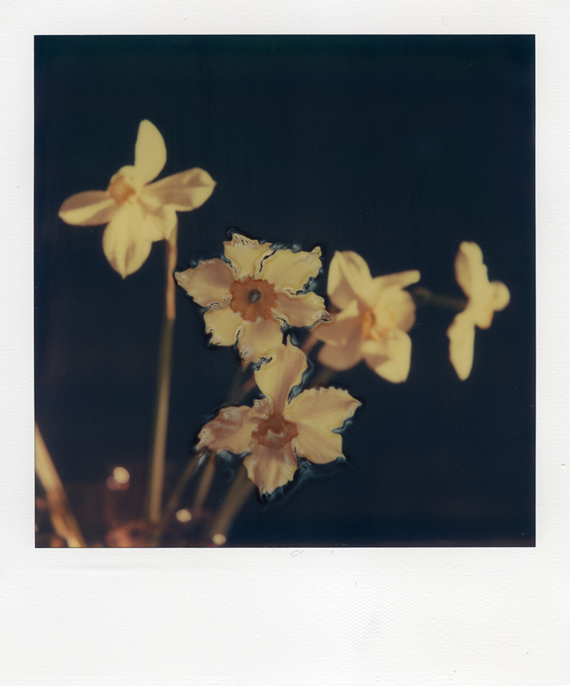 Алексей Белов. Портфолио. Polaroid Manipulation. Без названия